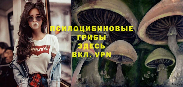 дживик Медногорск