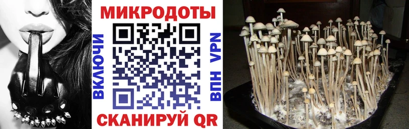 Псилоцибиновые грибы Cubensis  где купить   Королёв 